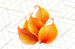 Autumn Leaves Clipart, Fall Foliage Clip Art, PNG Product Image 4