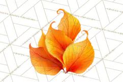 Autumn Leaves Clipart, Fall Foliage Clip Art, PNG Product Image 4