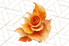 Autumn Leaves Clipart, Fall Foliage Clip Art, PNG Product Image 2