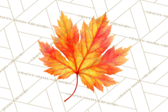Autumn Leaves Clipart, Fall Foliage Clip Art, PNG Product Image 4