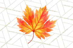 Autumn Leaves Clipart, Fall Foliage Clip Art, PNG Product Image 4