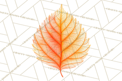 Autumn Leaves Clipart, Fall Foliage Clip Art, PNG Product Image 5