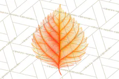 Autumn Leaves Clipart, Fall Foliage Clip Art, PNG Product Image 5
