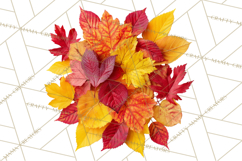 Autumn Leaves Clipart, Fall Foliage Clip Art, PNG Product Image 2