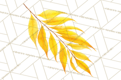 Autumn Leaves Clipart, Fall Foliage Clip Art, PNG Product Image 5