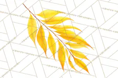 Autumn Leaves Clipart, Fall Foliage Clip Art, PNG Product Image 5