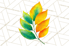 Autumn Leaves Clipart, Fall Foliage Clip Art, PNG Product Image 2