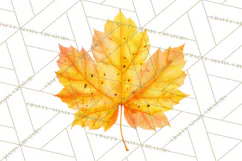 Autumn Leaves Clipart, Fall Foliage Clip Art, PNG Product Image 3