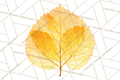 Autumn Leaves Clipart, Fall Foliage Clip Art, PNG Product Image 5
