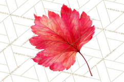 Autumn Leaves Clipart, Fall Foliage Clip Art, PNG Product Image 2