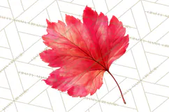 Autumn Leaves Clipart, Fall Foliage Clip Art, PNG Product Image 2