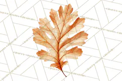 Autumn Leaves Clipart, Fall Foliage Clip Art, PNG Product Image 5