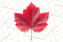Autumn Leaves Clipart, Fall Foliage Clip Art, PNG Product Image 2
