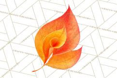 Autumn Leaves Clipart, Fall Foliage Clip Art, PNG Product Image 5
