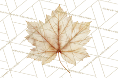 Autumn Leaves Clipart, Fall Foliage Clip Art, PNG Product Image 2