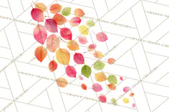 Autumn Leaves Clipart, Fall Foliage Clip Art, PNG Product Image 3