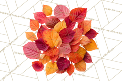 Autumn Leaves Clipart, Fall Foliage Clip Art, PNG Product Image 4