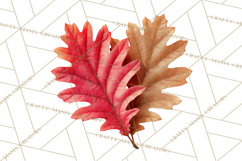 Autumn Leaves Clipart, Fall Foliage Clip Art, PNG Product Image 3