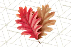 Autumn Leaves Clipart, Fall Foliage Clip Art, PNG Product Image 3