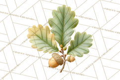 Autumn Leaves Clipart, Fall Foliage Clip Art, PNG Product Image 5