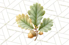 Autumn Leaves Clipart, Fall Foliage Clip Art, PNG Product Image 5