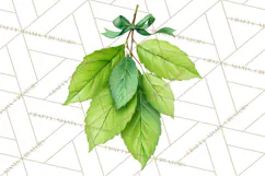Autumn Leaves Clipart, Fall Foliage Clip Art, PNG Product Image 2