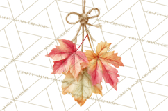 Autumn Leaves Clipart, Fall Foliage Clip Art, PNG Product Image 5