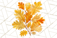 Autumn Leaves Clipart, Fall Foliage Clip Art, PNG Product Image 2