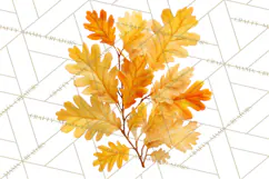 Autumn Leaves Clipart, Fall Foliage Clip Art, PNG Product Image 2