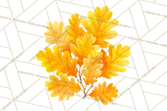 Autumn Leaves Clipart, Fall Foliage Clip Art, PNG Product Image 3