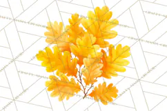 Autumn Leaves Clipart, Fall Foliage Clip Art, PNG Product Image 3