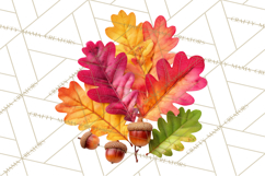 Autumn Leaves Clipart, Fall Foliage Clip Art, PNG Product Image 4