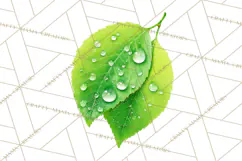 Autumn Leaves Clipart, Fall Foliage Clip Art, PNG Product Image 5