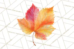 Autumn Leaves Clipart, Fall Foliage Clip Art, PNG Product Image 4