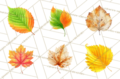 Autumn Leaves Clipart, Fall Foliage Clip Art, PNG Product Image 6