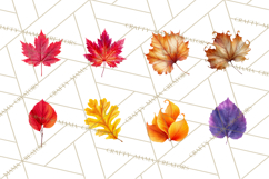Autumn Leaves Clipart, Fall Foliage Clip Art, PNG Product Image 2