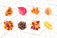 Autumn Leaves Clipart, Fall Foliage Clip Art, PNG Product Image 4