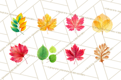 Autumn Leaves Clipart, Fall Foliage Clip Art, PNG Product Image 5