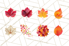 Autumn Leaves Clipart, Fall Foliage Clip Art, PNG Product Image 8