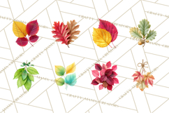 Autumn Leaves Clipart, Fall Foliage Clip Art, PNG Product Image 9