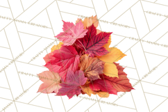 Autumn Leaves Clipart, Fall Foliage Clip Art, PNG Product Image 3