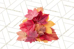 Autumn Leaves Clipart, Fall Foliage Clip Art, PNG Product Image 3