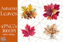 Autumn Leaves Clipart, Fall Foliage Clip Art, PNG Product Image 1