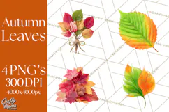 Autumn Leaves Clipart, Fall Foliage Clip Art, PNG Product Image 1
