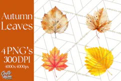 Autumn Leaves Clipart, Fall Foliage Clip Art, PNG Product Image 1