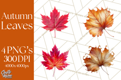 Autumn Leaves Clipart, Fall Foliage Clip Art, PNG Product Image 1
