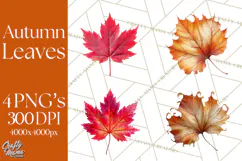 Autumn Leaves Clipart, Fall Foliage Clip Art, PNG Product Image 1