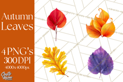 Autumn Leaves Clipart, Fall Foliage Clip Art, PNG Product Image 1
