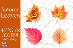Autumn Leaves Clipart, Fall Foliage Clip Art, PNG Product Image 1