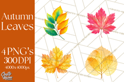 Autumn Leaves Clipart, Fall Foliage Clip Art, PNG Product Image 1